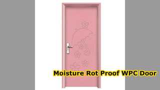 WPC Hollow Door Moisture Rot Proof Interior